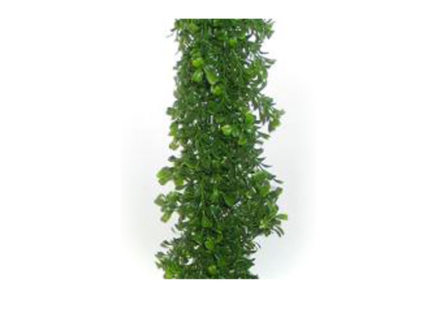 Boxwood Display Garland