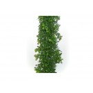 Boxwood Display Garland