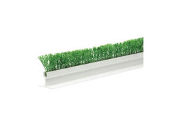 Green Parsley Divider w/ Strip